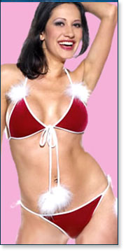 Christmas Bikini 6049