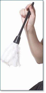 Feathers Duster A7021