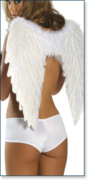 Angel Wings A81250