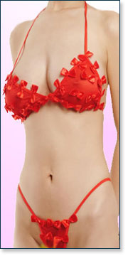 Bra & Panty 3109