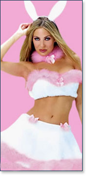 Bunny Costume 6045