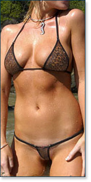 Leopard Bikini A4050