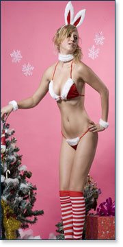 Christmas Bunny A7130